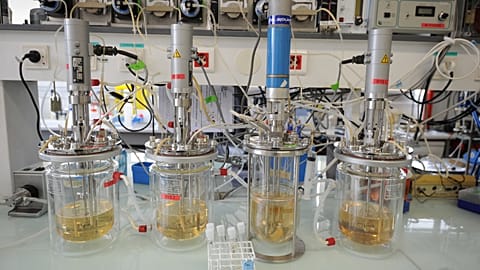 View of elements in the multilevel laboratory of the CAFE project at the INRA