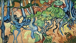 Van Gogh Müzesi
