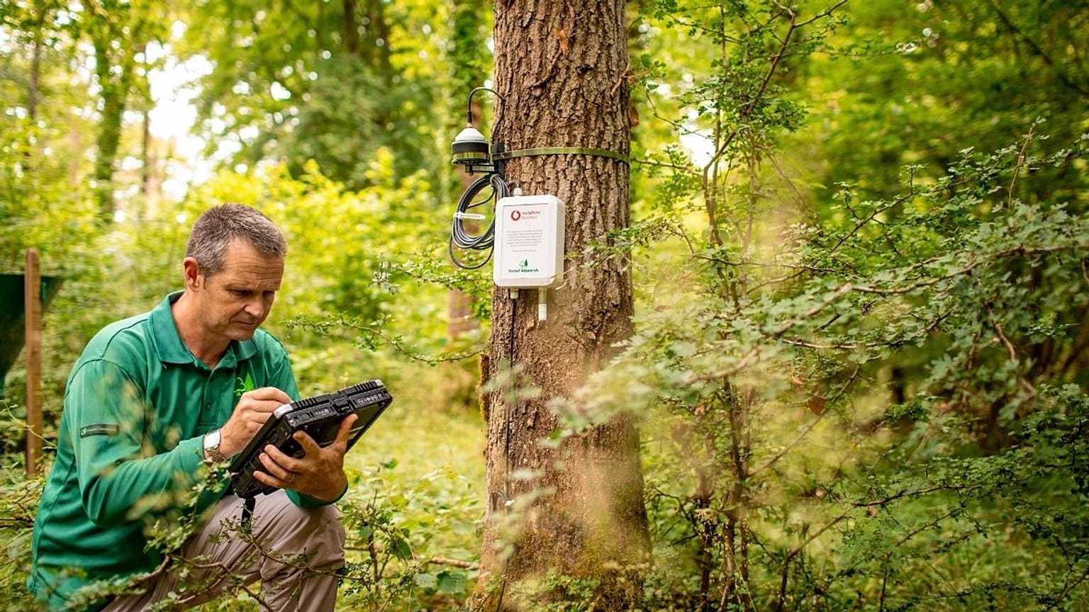 Matthew Wilkinson from Forest Research setting up the sensors which will use IoT technology to support researchers.