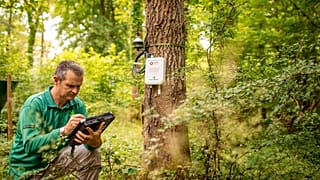 Matthew Wilkinson from Forest Research setting up the sensors which will use IoT technology to support researchers.
