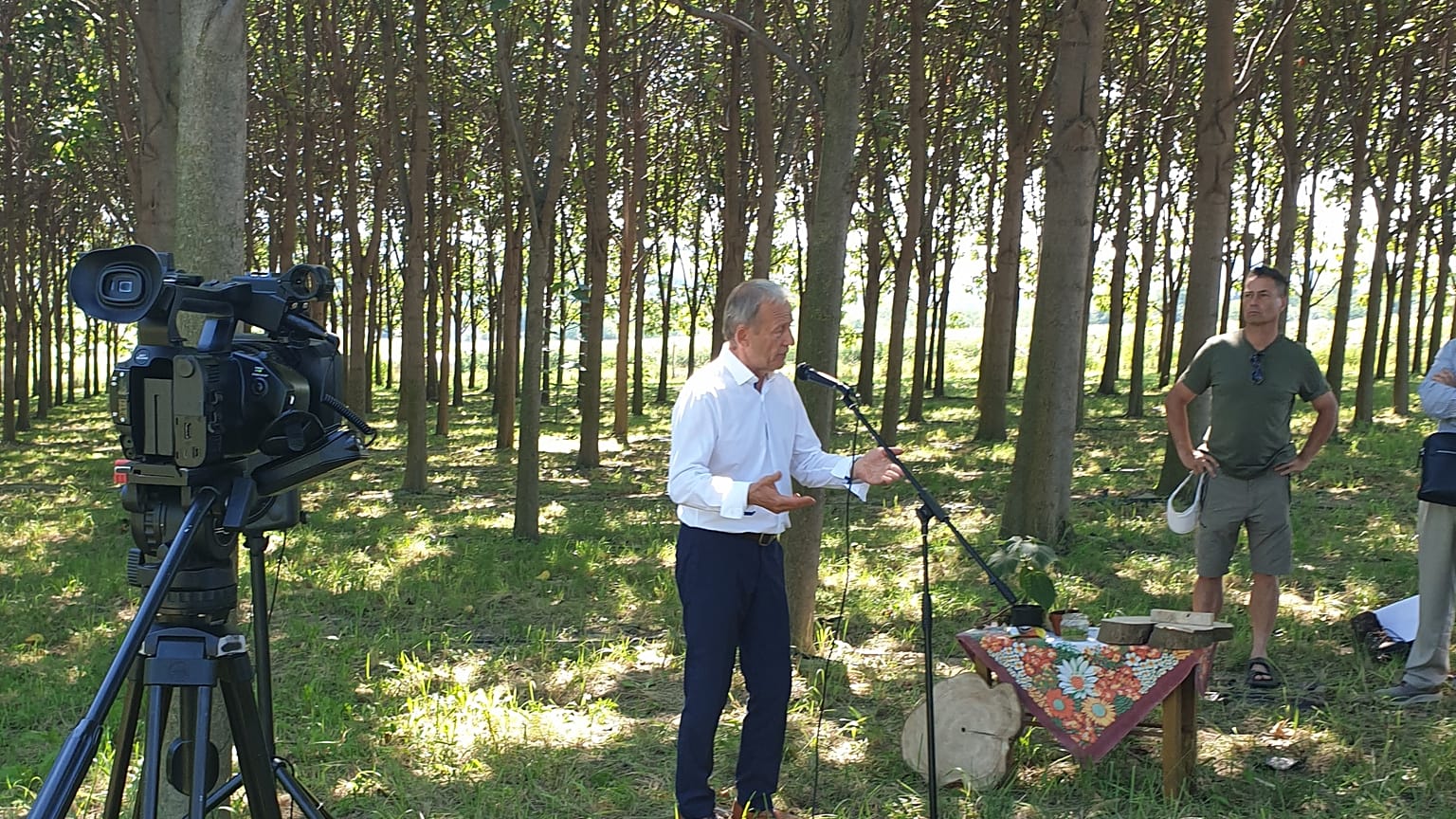 Siposhegyi