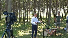 Siposhegyi