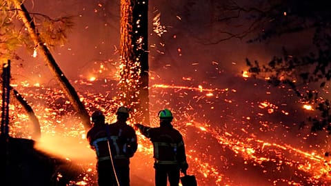 Flammen verschlingen die "Blaue Küste"