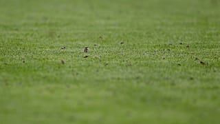 ملاعب كرة القدم