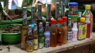 بریتانیایی متهم به جور کردن بساط نشئگی مقامات رومانی با خطر حبس روبرو شد