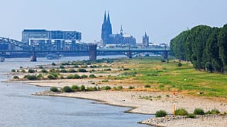 Берег Рейна в период мелководья, Кельн (Германия).  На заднем плане набережная Райнаухафен, здания Краунхаус и Кельнский собор.