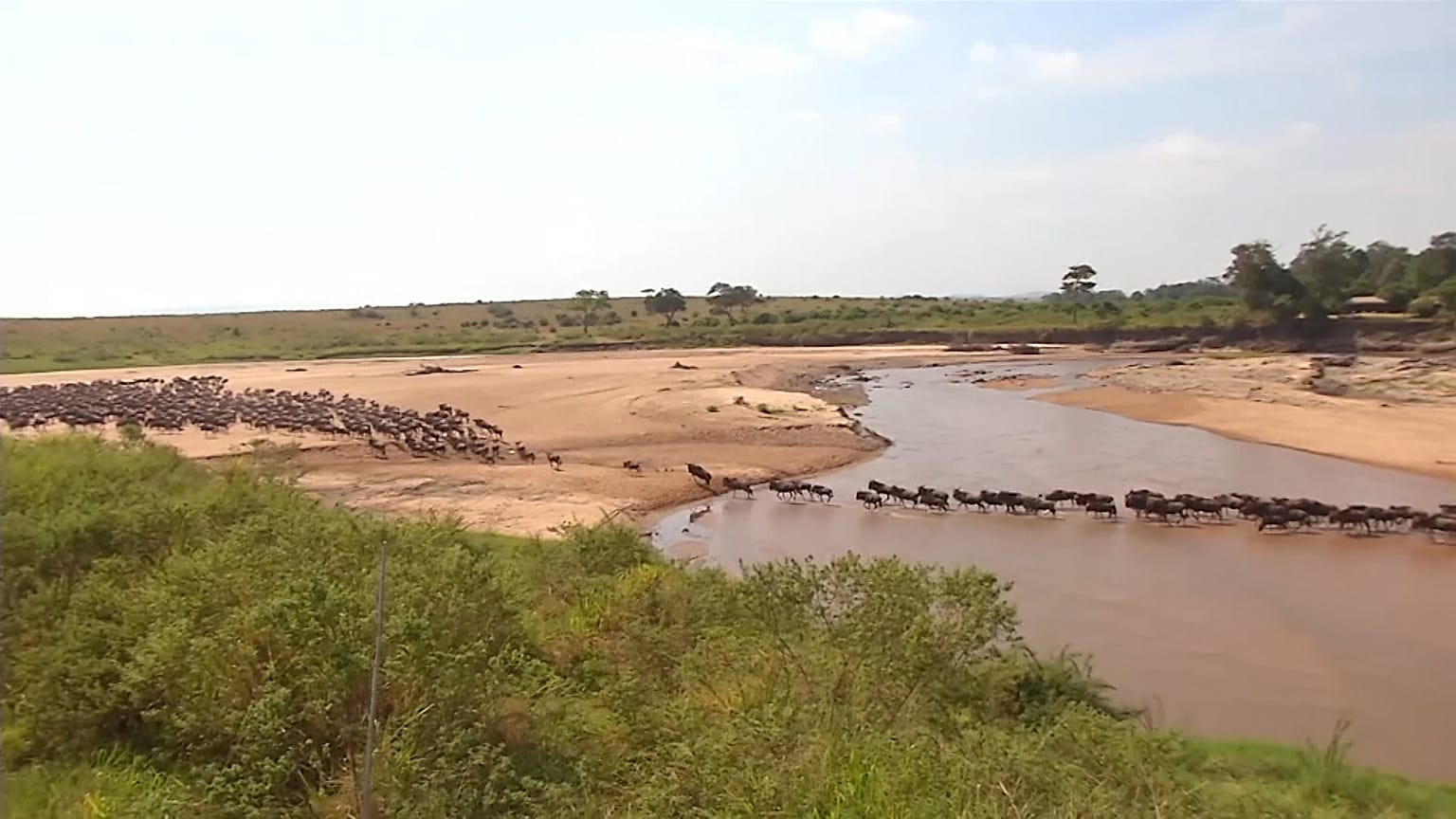 La gran migración en Masai Mara pierde este año uno de sus protagonistas: los turistas