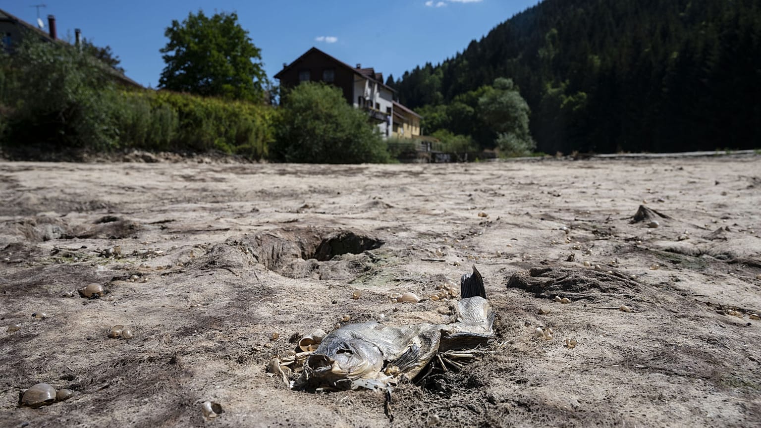 Le Doubs, rivière du de l'est de la France, à sec le 31 juillet 2020