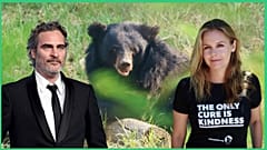 Celebrity campaign calls for us all to rethink our relationship with nature