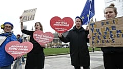 Anti-Brexit demonstrators carry placards and the European Union flag