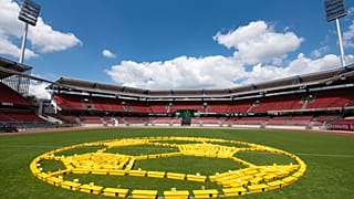 Statt Spielern Blumentöpfe im Nürnberger Max Morlock-Stadion