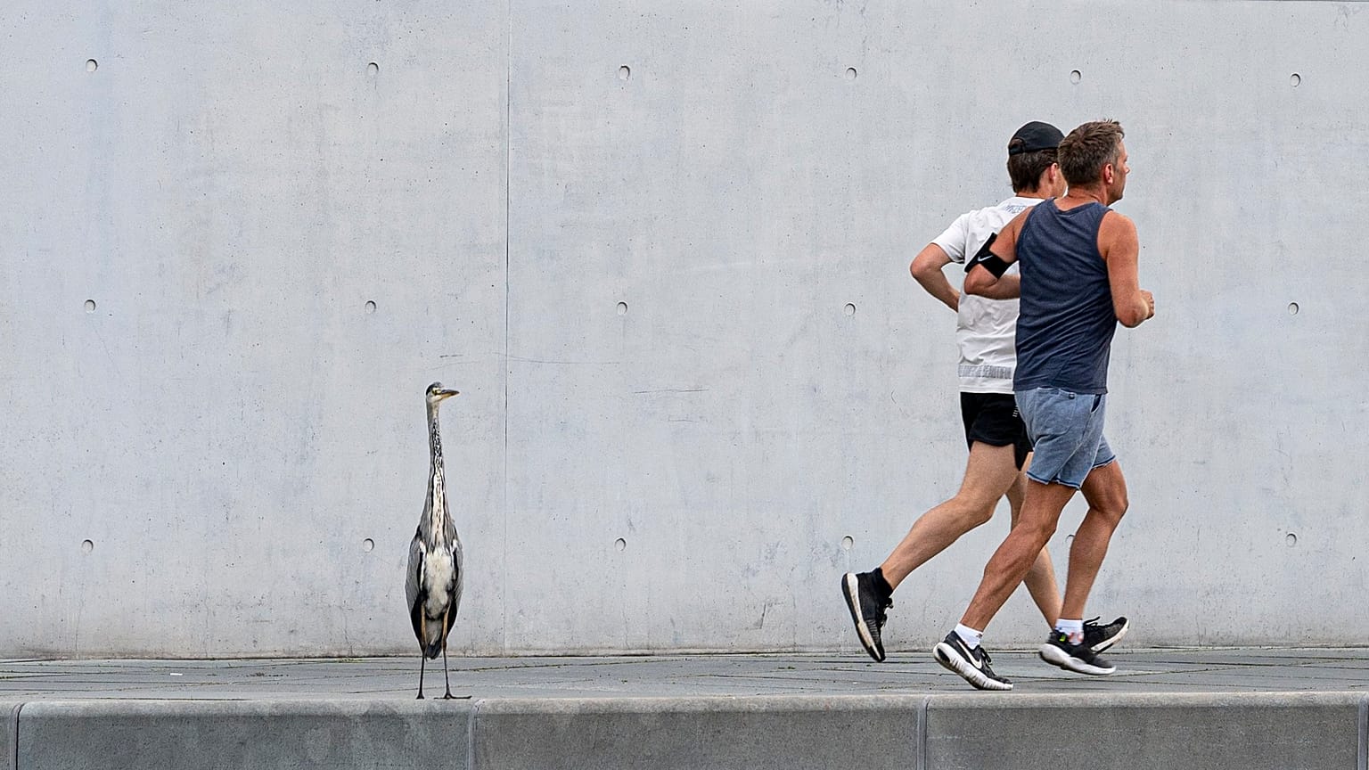 EU investigators launch probe into Google's plan to takeover Fitbit 