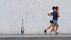 EU investigators launch probe into Google's plan to takeover Fitbit 