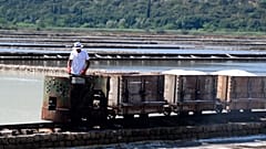 Сбор "урожая" на одной из старейших солеварен Европы 