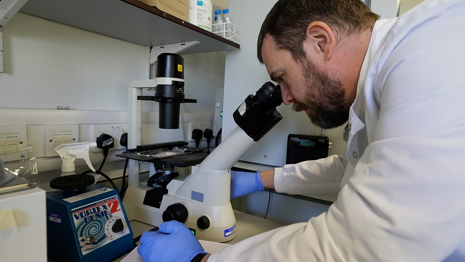 A research technician counts cells in the laboratory at Imperial College in London