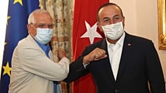 Cavusglou Borell