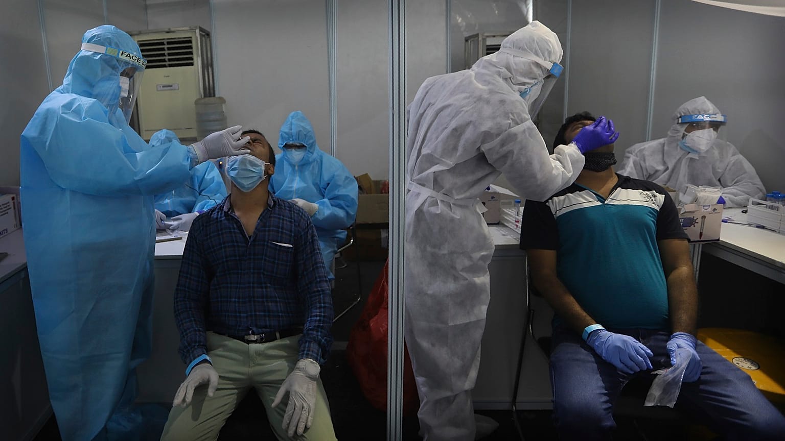 Indian health volunteers take swab samples for at a COVID-19 test study camp at a government hospital in New Delhi.