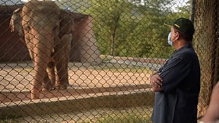 Pakistani prime minister advisor to climate change Malik Amin Aslam stands as Elephant Kaavan is seen behind a fence at the Marghazar Zoo in Islamabad on July 18, 2020