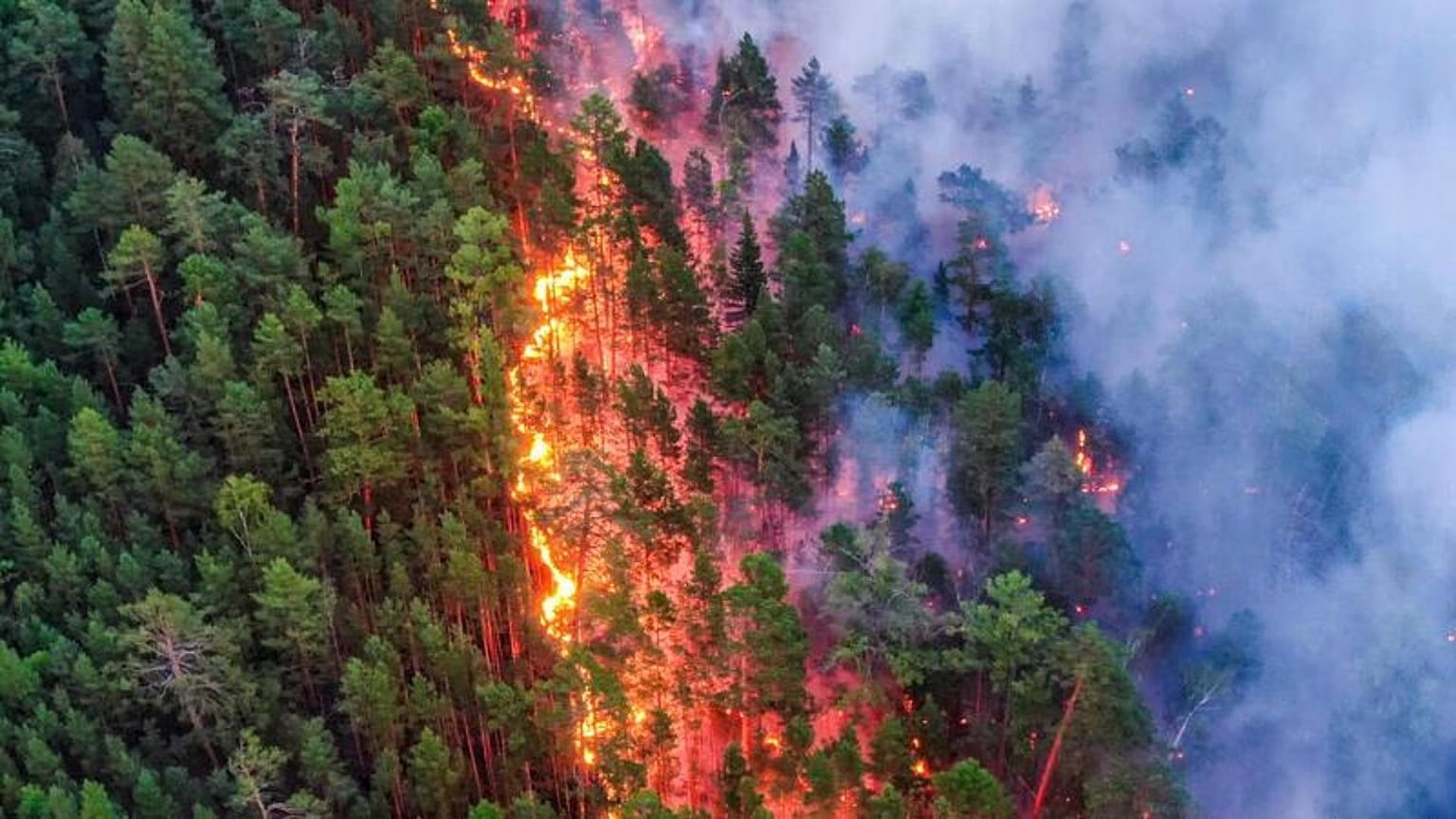 This summer Siberia is extremely suffering from various consequences of climate change.
