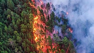 This summer Siberia is extremely suffering from various consequences of climate change.