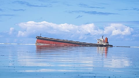 Oil leaking from the MV Wakashio, a bulk carrier ship that recently ran aground off the southeast coast of Mauritius