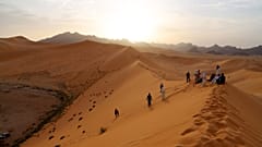 Niger: Bewaffnete erschießen sechs Franzosen im Giraffen-Reservat