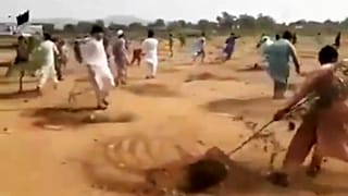 Pakistan'da fidanları söken öfkeli grup
