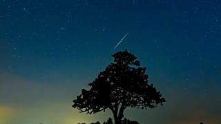 Meteor az égbolton egy fa felett Salgótarján közelében 2019. augusztus 13-ra virradóan