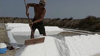 Salinas de Castro Marim, Algarve, Portugal