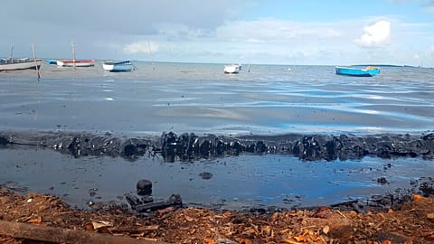 Frachterunglück vor Mauritius: "schlimmstes ökologisches Desaster"
