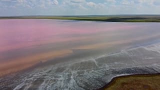 Kasachstan: Rosa Schlammpackung gegen Covid-19