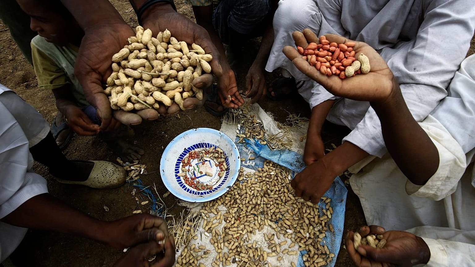 قرية دار الشفاء، على بعد 70 كيلومترًا جنوب العاصمة السودانية، 8 أغسطس / آب 2020. 