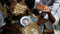 قرية دار الشفاء، على بعد 70 كيلومترًا جنوب العاصمة السودانية، 8 أغسطس / آب 2020. 