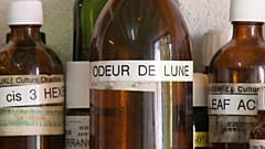 L'odore di luna, prodotto da Michaël Moisseeff