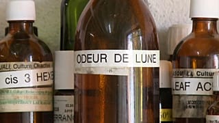 L'odore di luna, prodotto da Michaël Moisseeff