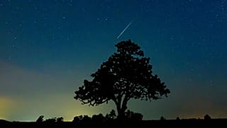 A meteorite over Hungary during the 2019 Perseid meteor shower