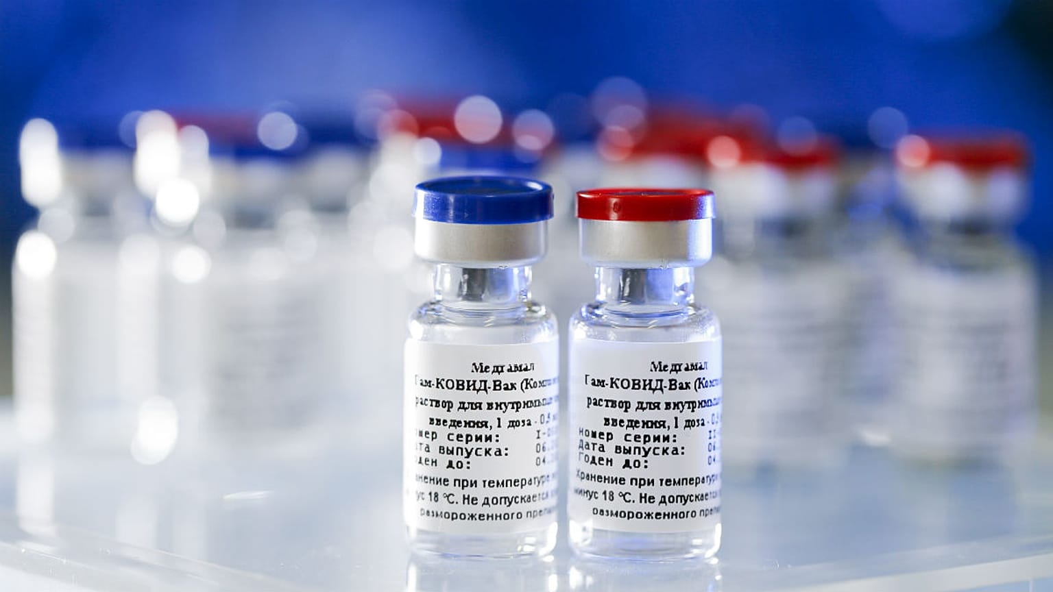  A new vaccine is on display at the Nikolai Gamaleya National Center of Epidemiology and Microbiology in Moscow