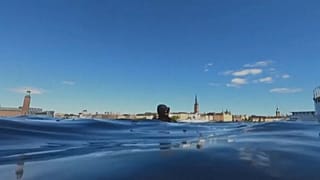Taucher in Stockholm