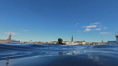 Taucher in Stockholm