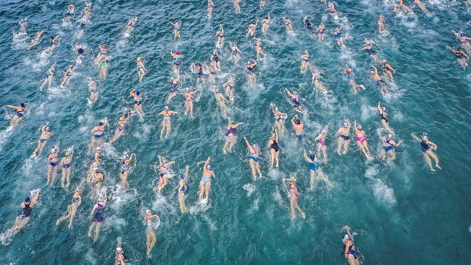 A crowd of wild swimmers in multicoloured caps take to the sea.
