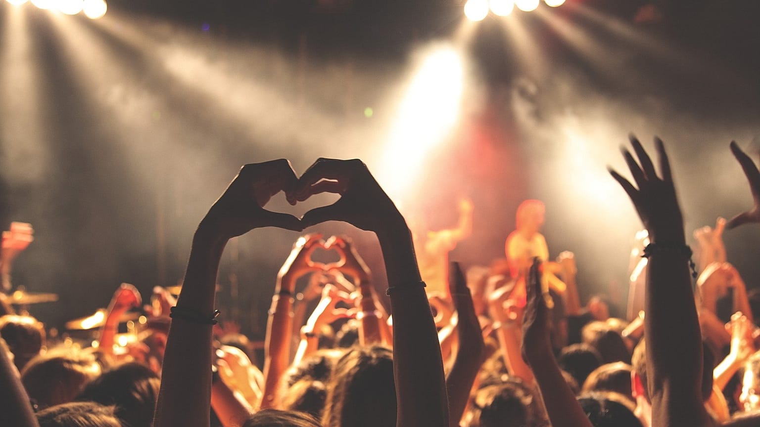 A crowd attends a music concert before the coronavirus pandemic hit Europe.