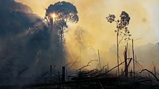 Zona incendiada na Amazónia