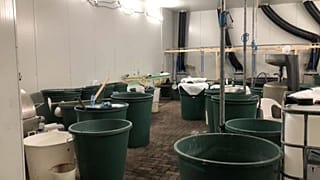 Drogenlabor in Nijeveen (Niederlande)