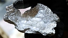 Desmantelan la mayor fábrica de cocaína de Países Bajos