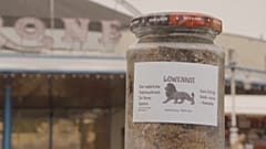 Löwenkot, der Katzenschreck für den Garten - Kein Erfolg, Geld zurück