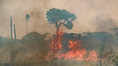 Több helyen ég az esőerdő Brazíliában