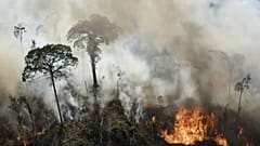 Incêndio na Amazónia