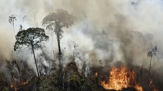 Incêndio na Amazónia