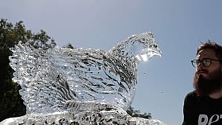 الأوبئة وجه آخر لمخاطر التغير المناخي
