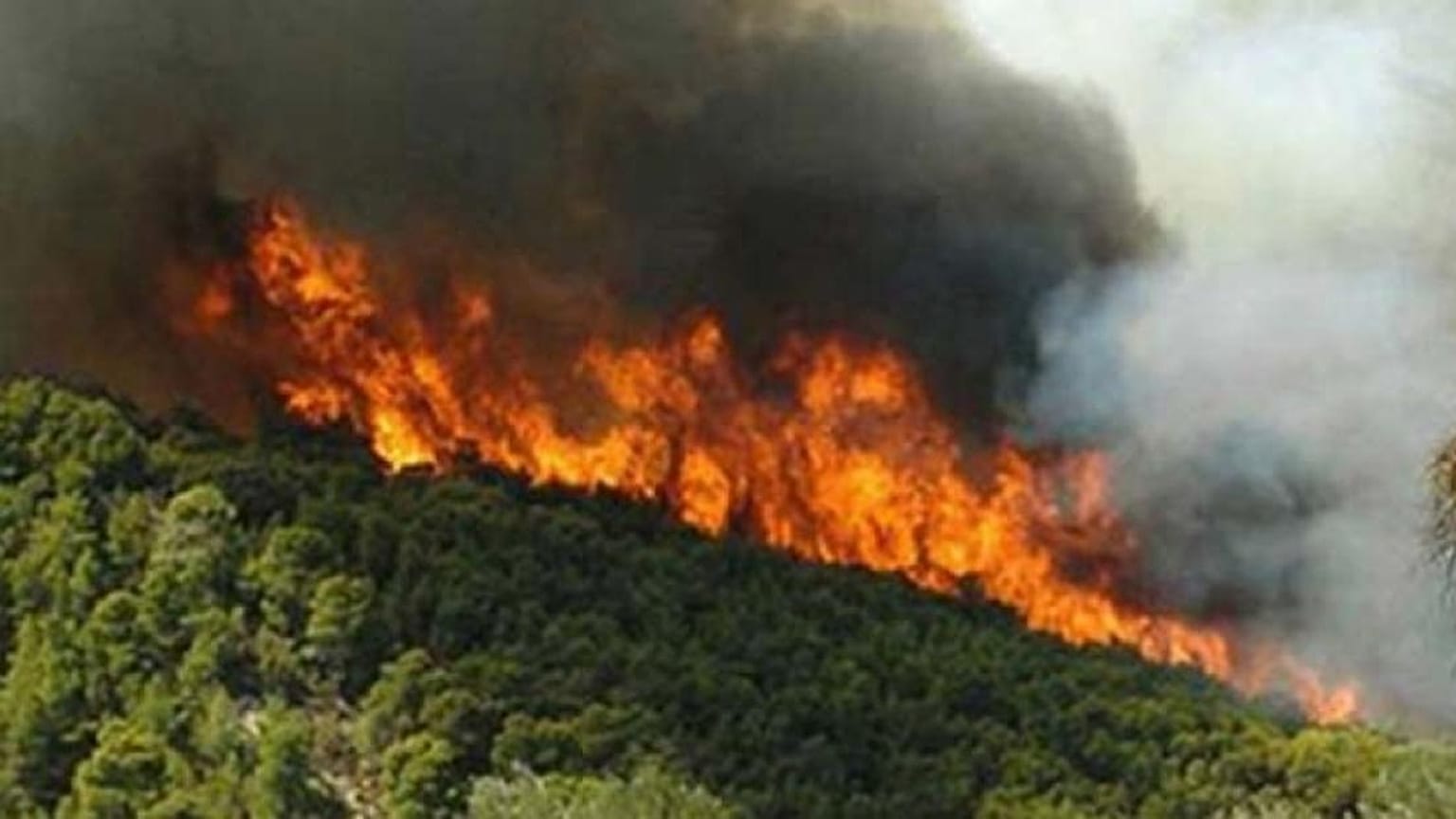 Φωτιά στην Κέρκυρα 